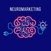 A neuromarketing lehetőségei a marketingfolyamatokban